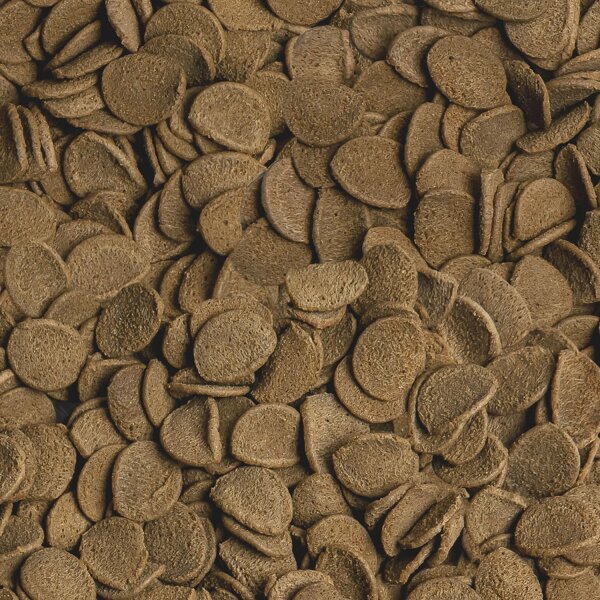 sera Vipachips Wafers