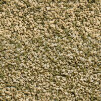 sera Vipagran Baby Granules