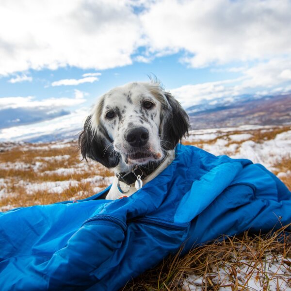 Non-stop Ly Schlafsack