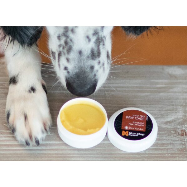 Non-stop Paw Care