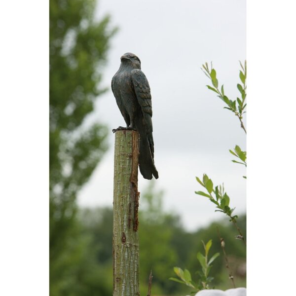 Rottenecker Turmfalke 31 cm