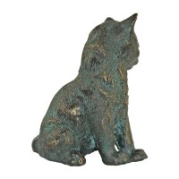 Rottenecker Junge Katze sitzend