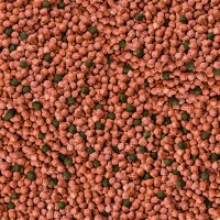sera Koi Professional Junior 500 g