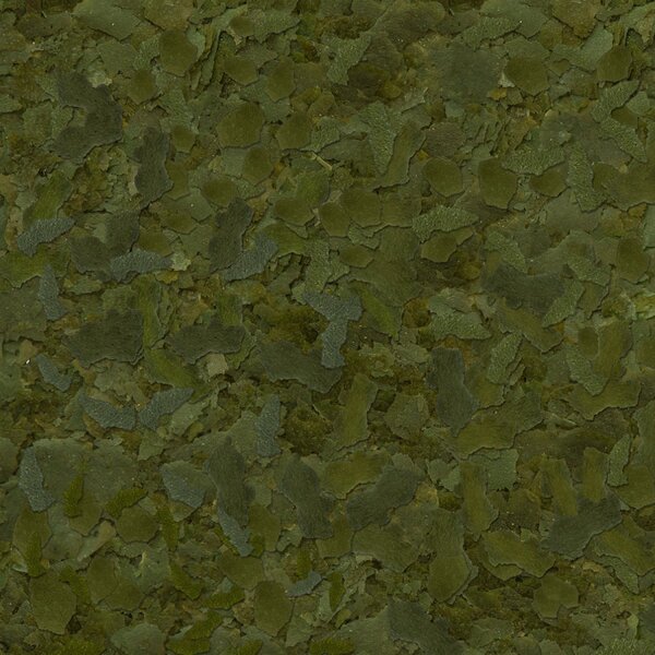 sera Flora Flakes 10 l
