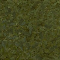 sera Flora Flakes 10 l
