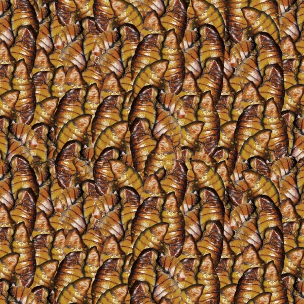 sera Koi Silkworm Nature 1000 ml