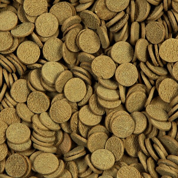 sera Sterlet Chips 3800 ml