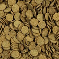sera Sterlet Chips 3800 ml