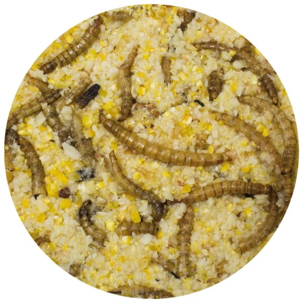 JR FARM PPot Erdnussbutter Mehlwürmer 400 g