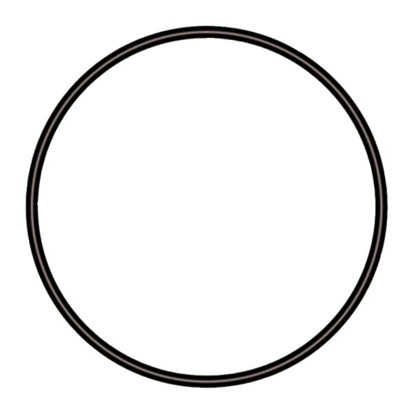 sera O-Dichtring