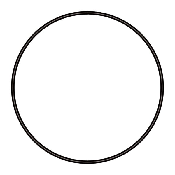 sera O-Dichtring 79 mm