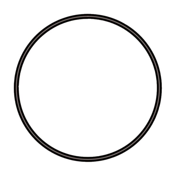 sera O-Dichtring 62 mm