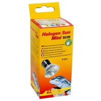 Lucky Reptile Halogen Sun Mini 50 W Doppelpackung