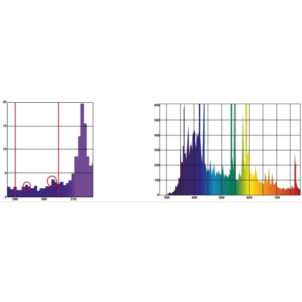 Lucky Reptile Bright Sun FLOOD Desert 70 W