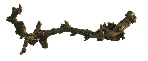 Lucky Reptile Rebholz dunkel XL