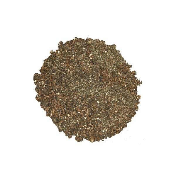 Lucky Reptile Jungle Bedding 20 l