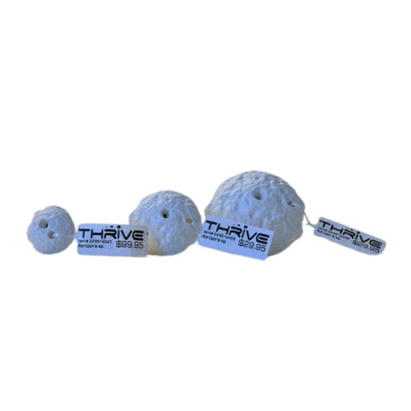 Thrive A Coral Plugs Medium