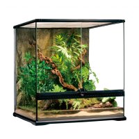 Exo Terra Glas Terrarium