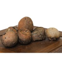 amtra Dino-Eggs SM ca. 0,6 - 2 kg