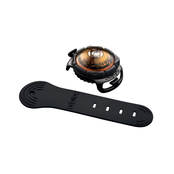 Orbiloc Dog Dual amber