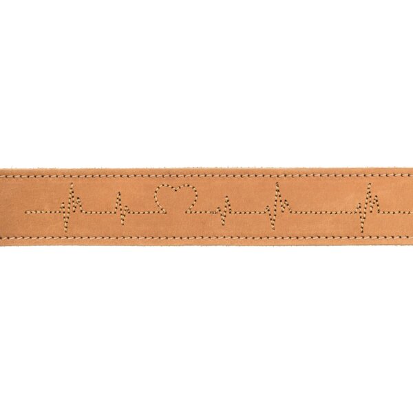 TRIXIE Rustic Fettleder-Halsband „Heartbeat“