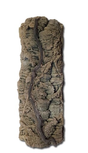 Back to Nature Liana Tree Trunk Module B 55 x 20 cm