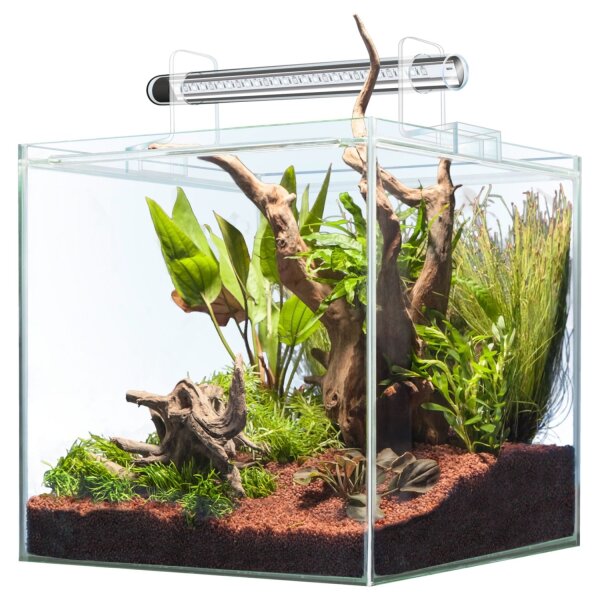 sera Scaper Cube 64 l Starterset