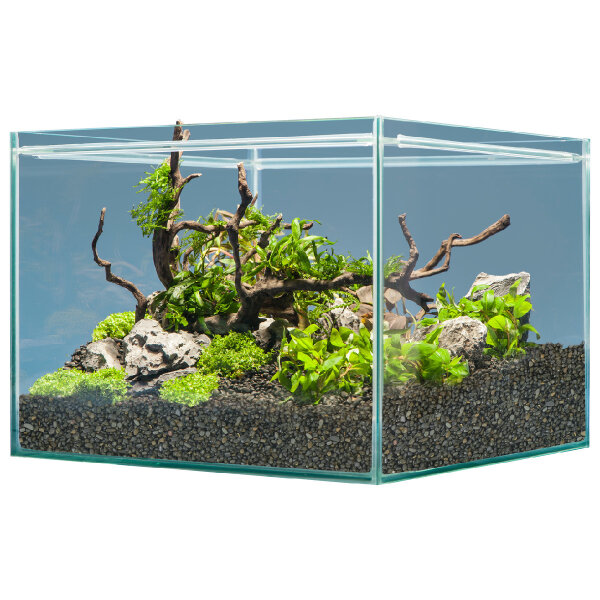 sera Hardscape Shrimp