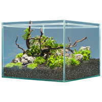 sera Hardscape Shrimp