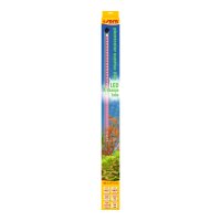 sera LED X-Change Tube plantcolor sunrise 660 mm