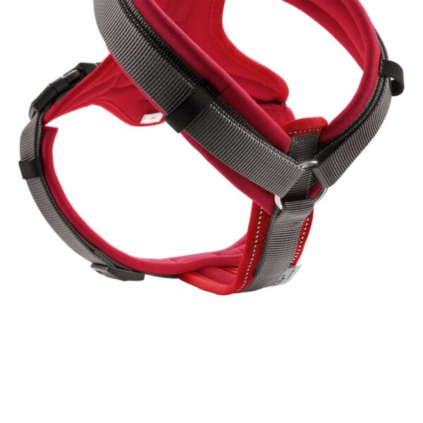Hunter Geschirr Maldon rot/grau XS