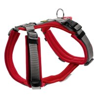 Hunter Geschirr Maldon rot/grau XS