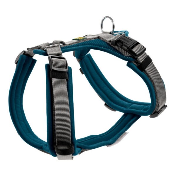 Hunter Geschirr Maldon petrol/grau XS