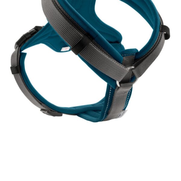 Hunter Geschirr Maldon petrol/grau XS