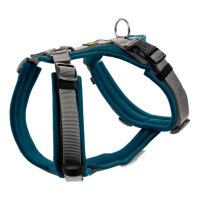 Hunter Geschirr Maldon petrol/grau S-M