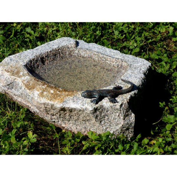 Rottenecker Vogeltränke mit kleiner Eidechse