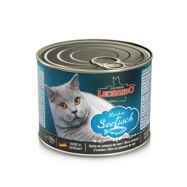 Leonardo Seefisch