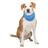 TRIXIE Kühlbandana