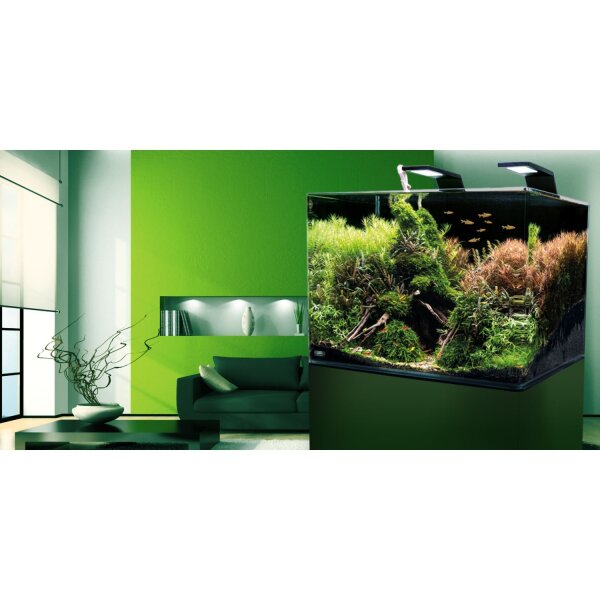 Dennerle Nano Scapers Tank