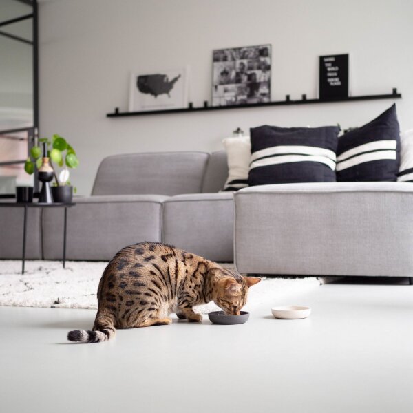 District 70 BAMBOO Katzennapf