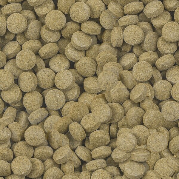 sera Viformo Pleco Tabs 100 ml