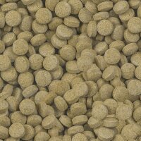 sera Viformo Pleco Tabs 100 ml