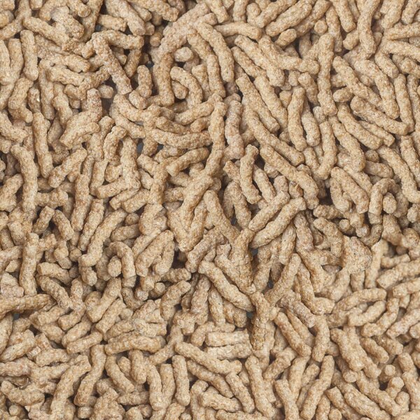 sera Cichlid Sticks