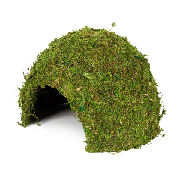 Hobby Jungle Cave 17 x 17 x 12 cm