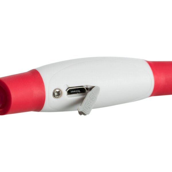 TRIXIE Flash Leuchtring USB rot S-M