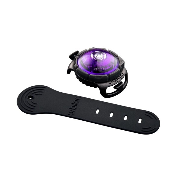 Orbiloc Dog Dual lila