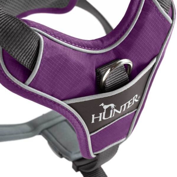 Hunter Geschirr Divo violett/grau XS