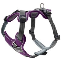 Hunter Geschirr Divo violett/grau S-M