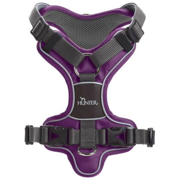 Hunter Geschirr Divo violett/grau M