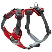 Hunter Geschirr Divo rot/grau S-M